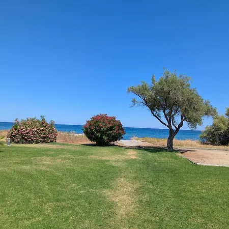 Cala Di Sognu Moriani Face A La Lägenhet