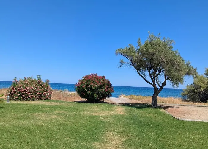 Cala Di Sognu Moriani Face A La Apartment